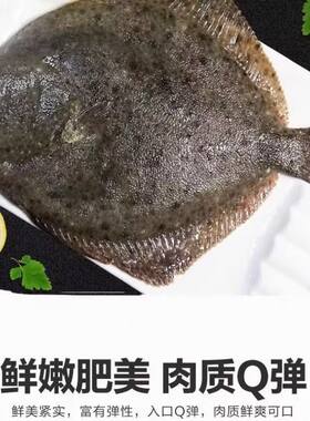 鲜活冷冻海鲜鲜冻海捕多宝鱼新鲜比目鱼鲽鱼商用深海水产