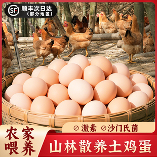 顺丰包邮正宗散养土鸡蛋60枚紫蓬山肥西农家笨鸡蛋柴乌鸡蛋新鲜