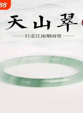 天山翠手镯手链精致女款细条玉镯仿冰透飘花款小众镯子半山细圆条