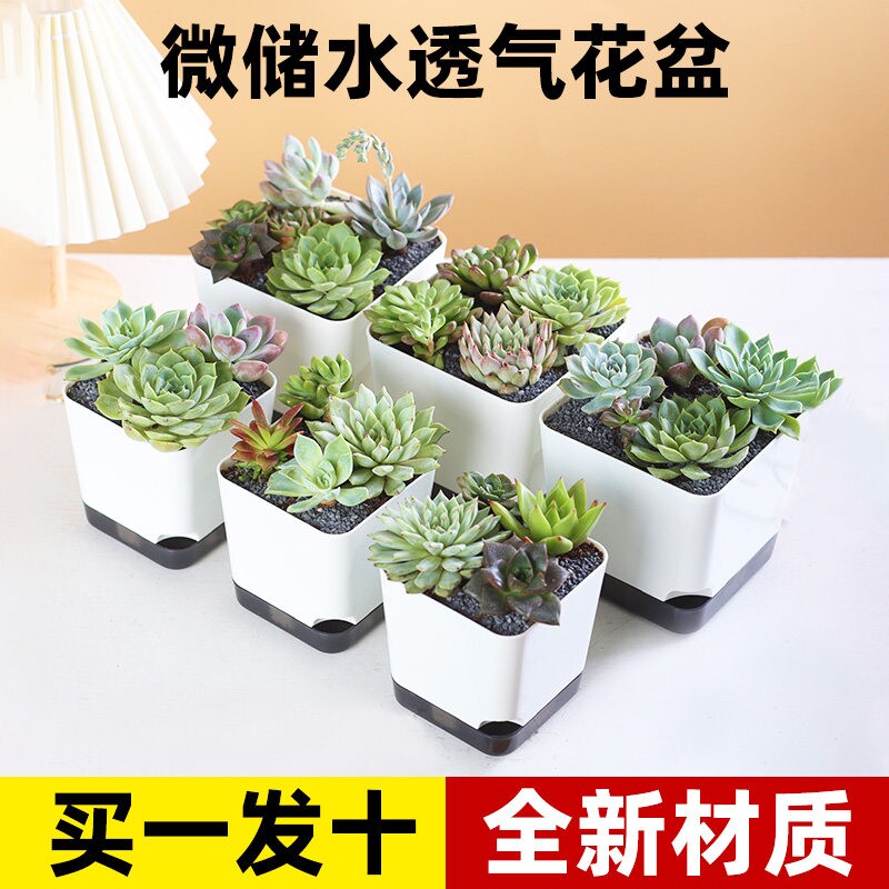 多肉大号花盆塑料大口径多肉植物盆栽桌面小号盆特价清仓方形陶瓷