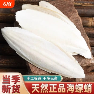 海螵蛸中药材官方旗舰店墨鱼骨海螵蛸粉药用大块乌贼骨墨鱼盖乌鲗