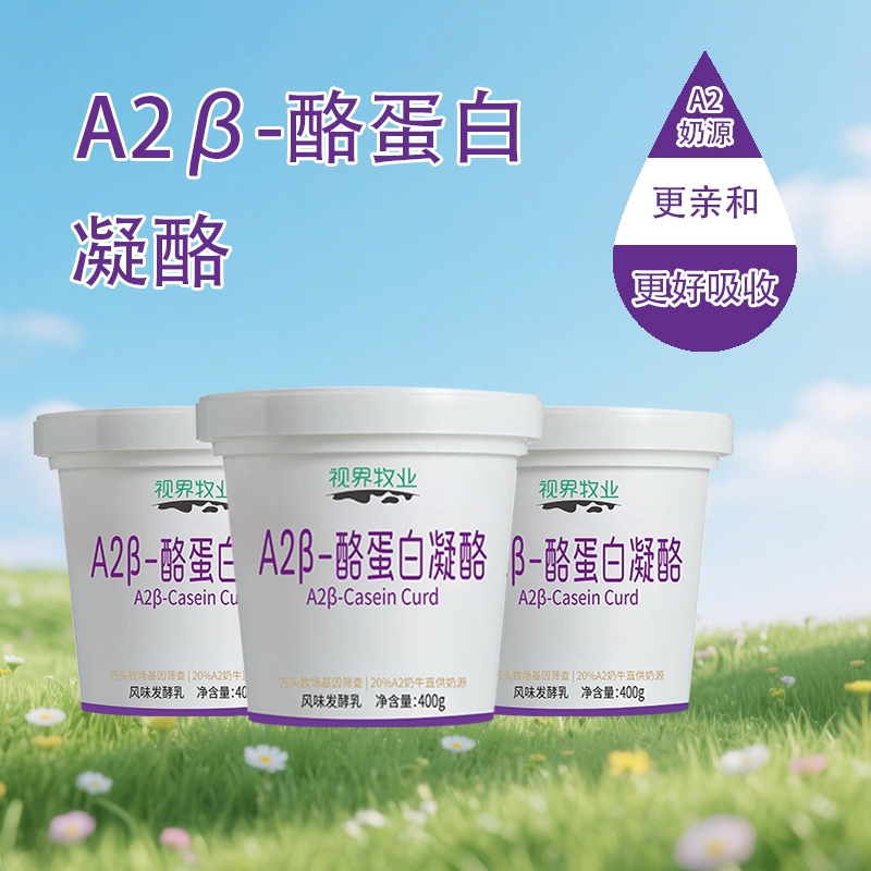 视界牧业 A2β-酪蛋白原味酸牛奶优质原生乳蛋白低温酸奶400g