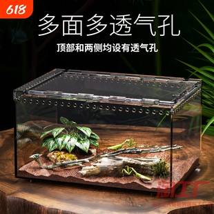 树栖箱全景爬虫缸蜥蜴睫角守宫独角仙饲养盒蜘蛛蛇蜗牛巴西龟甲虫