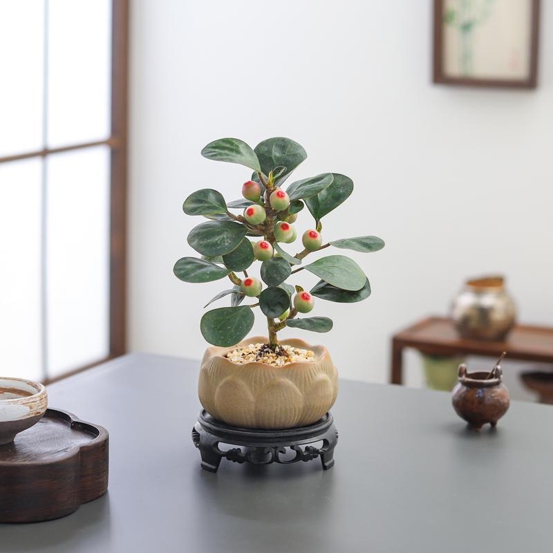 小盼室内禅意盆景|超1000次加购