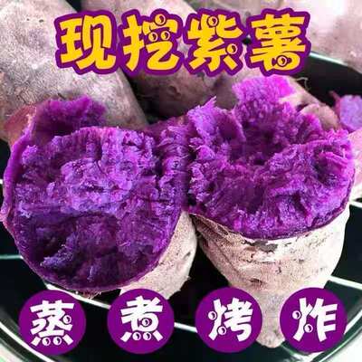 2026年新鲜现挖紫薯辅食紫罗兰红薯沙地番薯地瓜山芋蔬菜紫心软糯