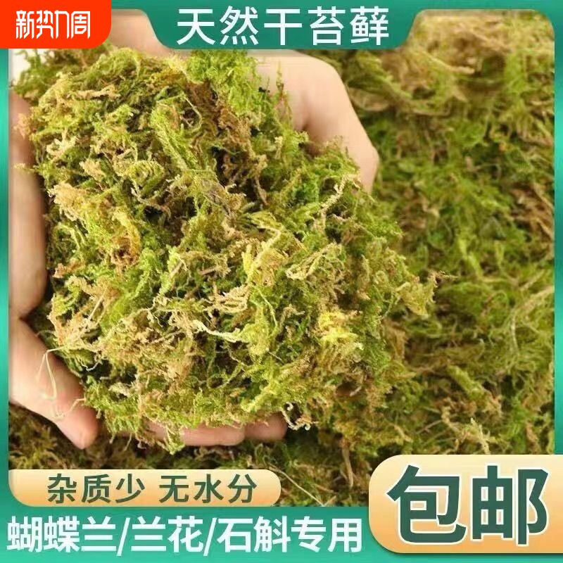 干苔藓水苔天然青苔兰花蝴蝶兰石斛种植专用营养土爬宠乌龟垫材