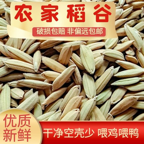 农家水稻谷子带壳大米新稻谷喂鸡鸭鹅仓鼠鸽鸟宠物饲料酿酒杂粮食