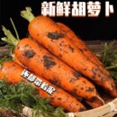 老品种胡萝卜农家自种胡萝沙地胡萝卜新鲜带泥甜脆水果型胡萝卜