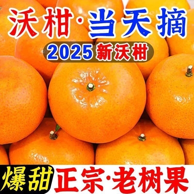 广西沃柑贵妃柑新鲜橘子水果应季水果薄皮桔子现摘3/5/9斤非武鸣