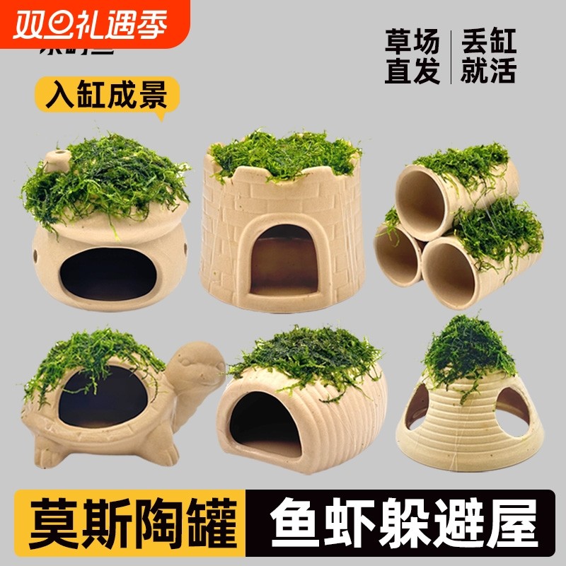 水屿鱼鱼缸水草造景莫斯水草真植物躲避罐陶罐虾屋摆件小鱼躲鱼虾