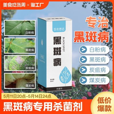 黑斑病月季专用药白粉病杀菌剂