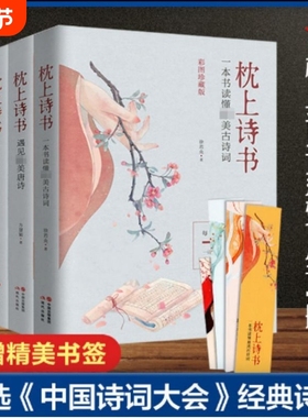 正版速发4册枕上诗书全套书读懂最美古诗词飞花令里读唐诗宋词诗词鉴赏辞典赏析中国古代文学书籍lxr经典诗经文化情怀愿望