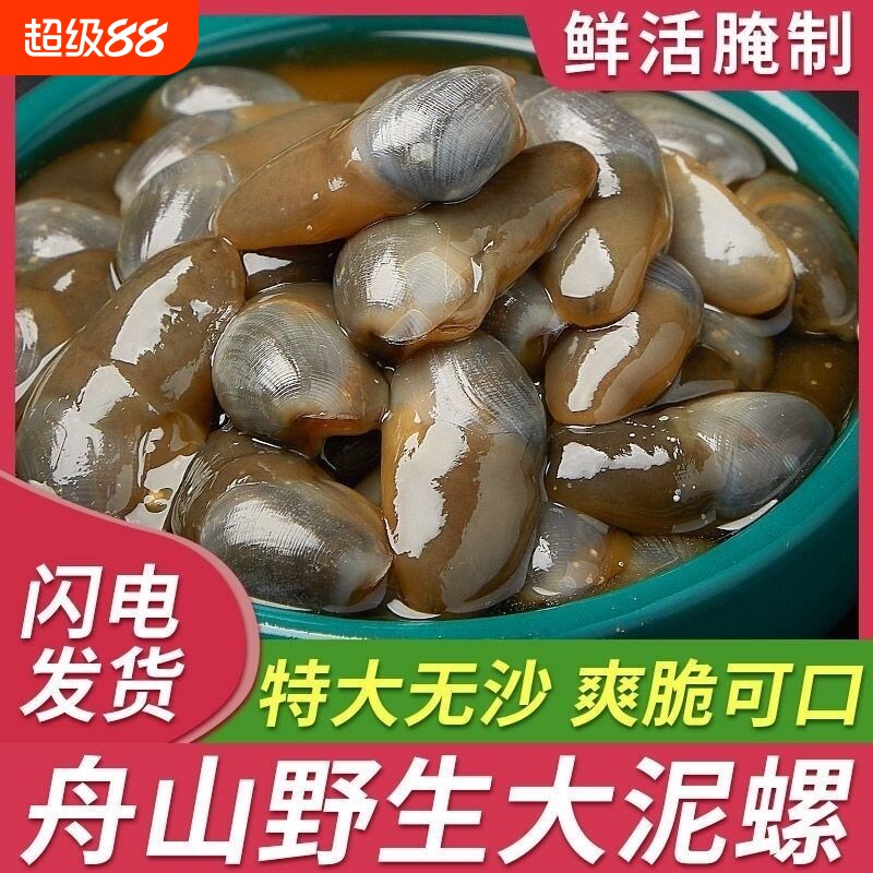 醉泥螺特大黄泥螺鲜活腌制潮汕生腌即食罐装舟山特产海鲜无沙新鲜