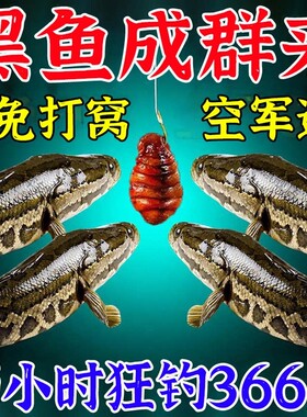黑鱼专用饵料鱼塘黑坑野钓颗粒不空军血蚕爆护饵料黑鱼克星腥香型