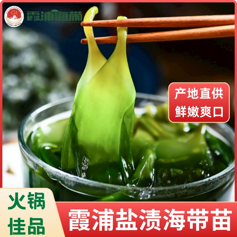 火锅凉拌霞浦海带苗几秒快手菜
