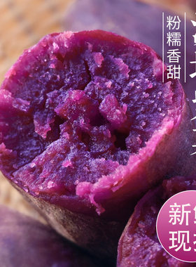 新鲜沙地紫薯当季现挖番薯