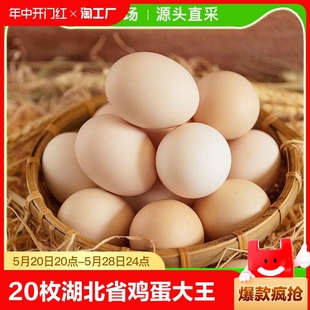 【9.9抢20枚】湖北省鸡蛋大王 农家散养新鲜土鸡蛋