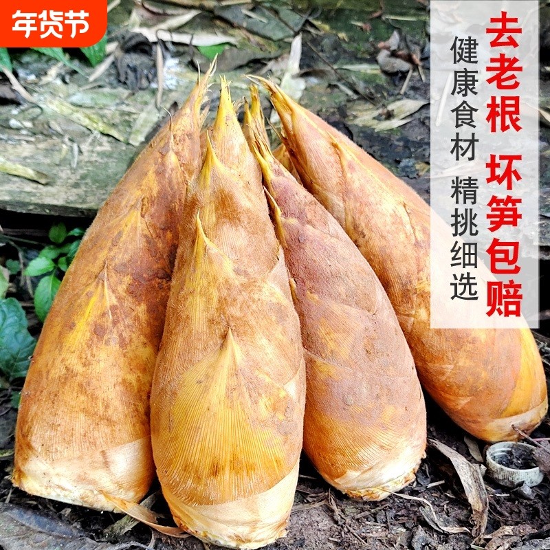 福建高山冬笋新鲜现挖毛竹笋尖野生带壳黄泥嫩笋尖去老根火锅炒菜,水产肉类/新鲜蔬果/熟食,竹笋,淘宝优惠券,粉丝福利购,淘宝优惠卷