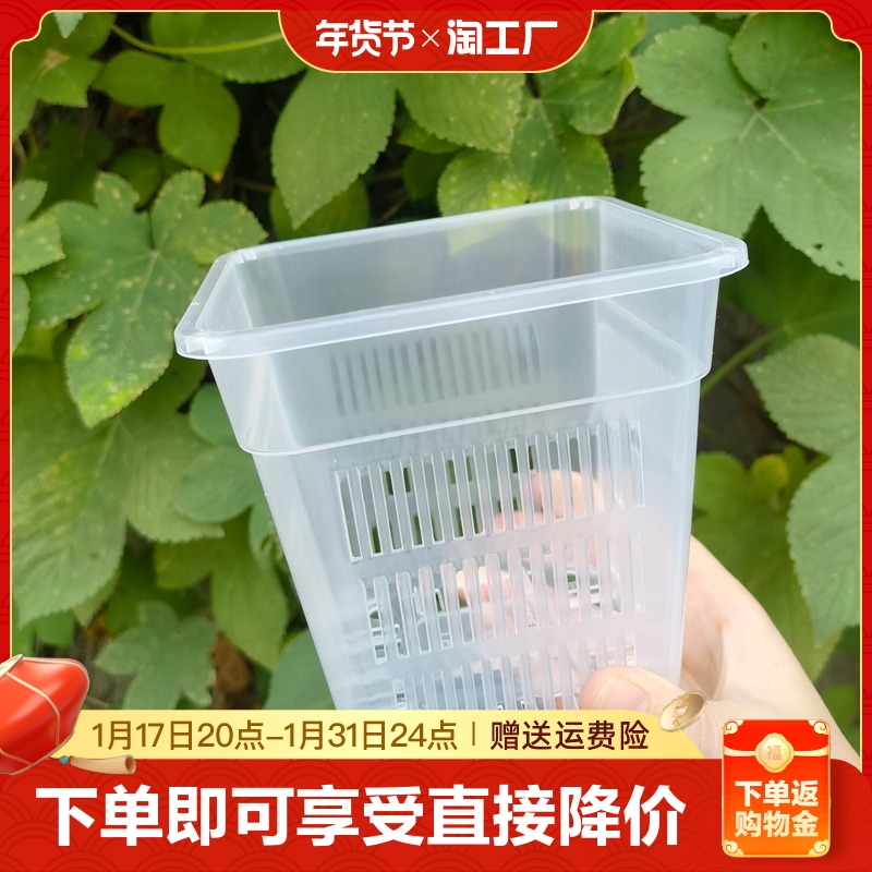 兰花盆栽方盆加厚透气塑料花盆控根盆蝴蝶兰定植篮绿萝水培桌面