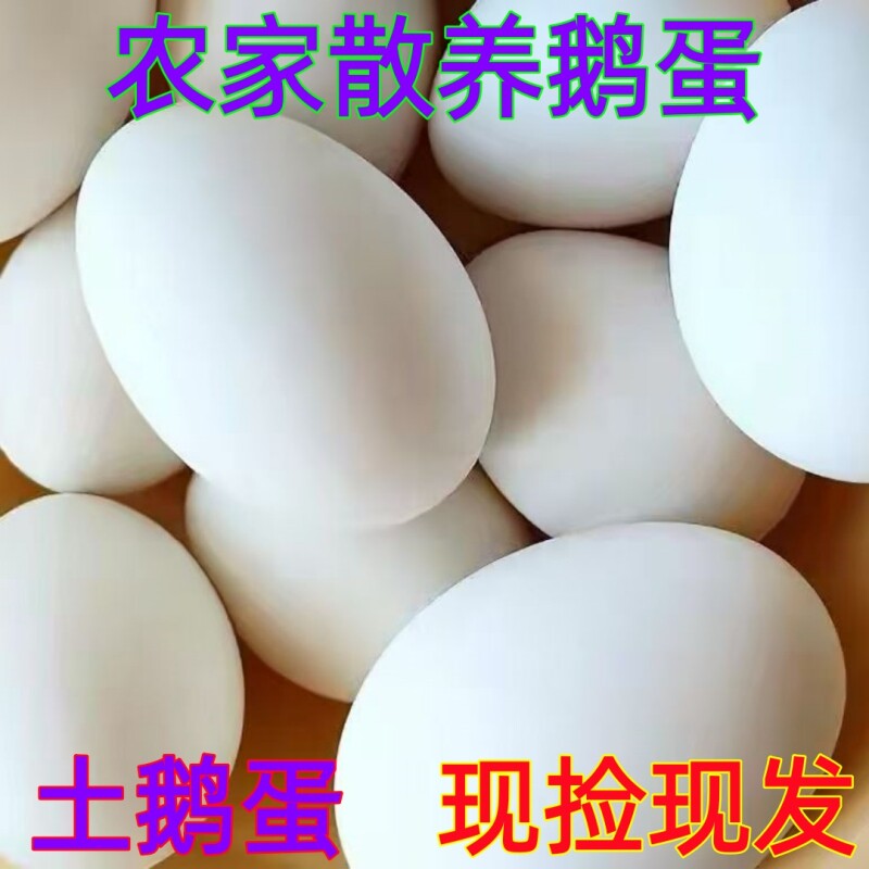 农家散养土鹅蛋新鲜生态鹅蛋现捡现发孕妇宝宝大鹅蛋营养健康
