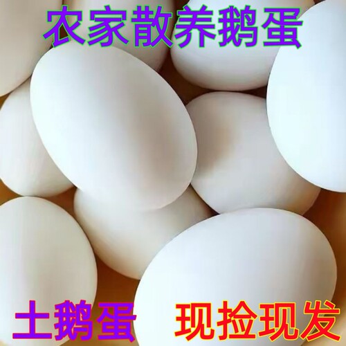农家散养土鹅蛋新鲜生态鹅蛋现捡现发孕妇宝宝大鹅蛋营养健康