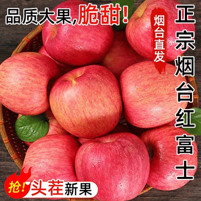 烟台冰糖心红富士苹果水果新鲜应当季脆甜丑苹果