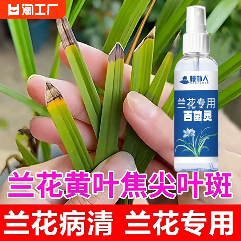 兰花专用百菌灵枯草芽孢菌菌剂