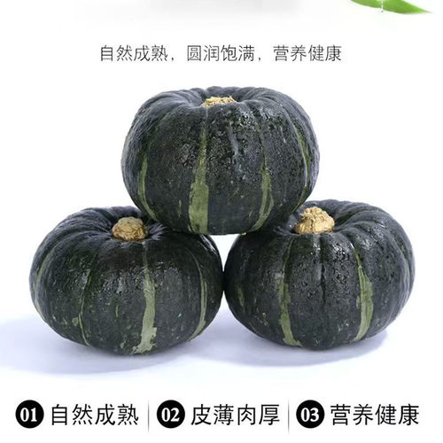 山东新鲜贝贝南瓜宝宝辅食