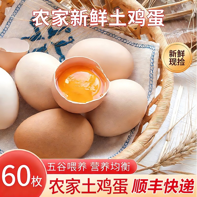 甘肃新鲜土鸡蛋60枚正宗农家散养农村乌柴笨草生鲜鸡蛋 50g/枚