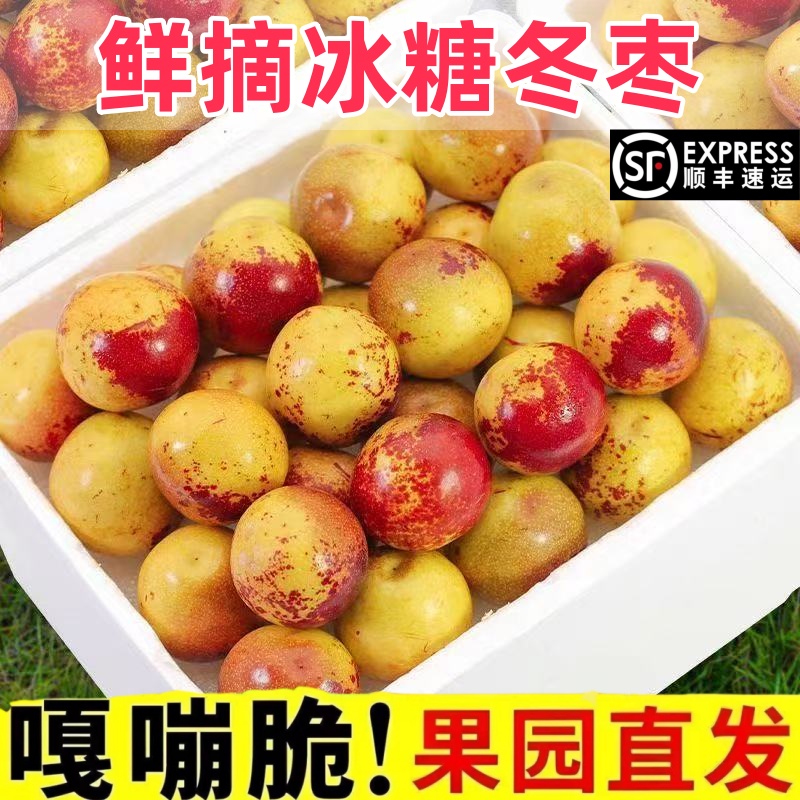 顺丰包邮正宗冬枣新鲜大果应季整箱枣子现摘脆枣冰糖大枣当季水果
