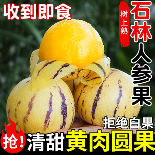 云南人参果水果5斤中果黄肉新鲜石林上熟人生果圆果整箱保存甄选