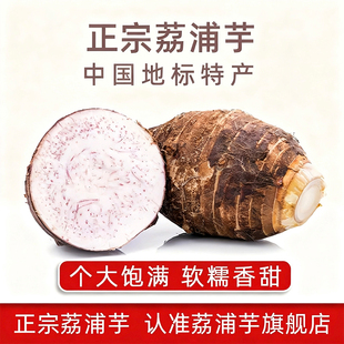 荔浦芋广西荔浦芋头新鲜正宗现挖香芋粉糯香甜当季大芋头产地直发