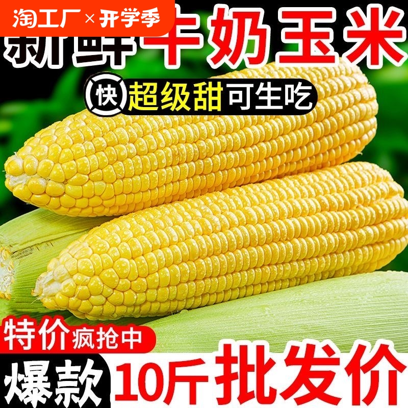 【官補(bǔ)11.9元】云南新鮮水果玉米*5斤