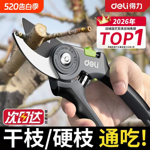 得力修剪树枝剪刀修枝剪果树剪枝