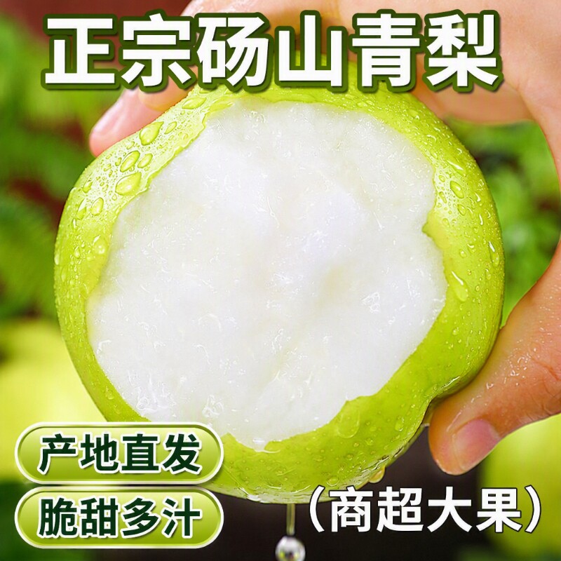 砀山青梨9斤脆甜多汁|102人收藏图片