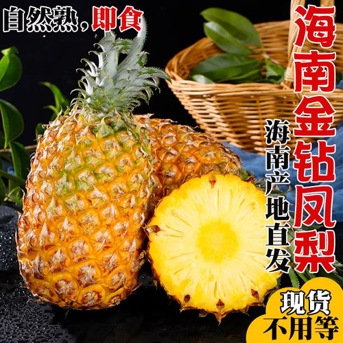 海南金钻凤梨无眼菠萝