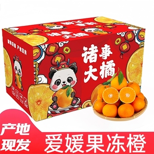 8斤新鲜当季 四川爱媛38果冻橙4.5 水果橙子柑橘蜜桔 礼盒装