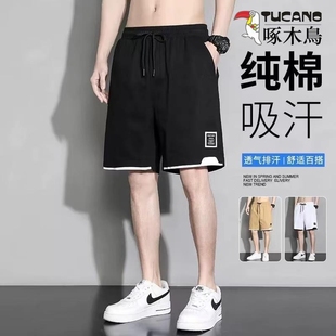 短裤 七五分中裤 男士 潮牌纯棉宽松运动休闲加大码 子 夏季 啄木鸟薄款