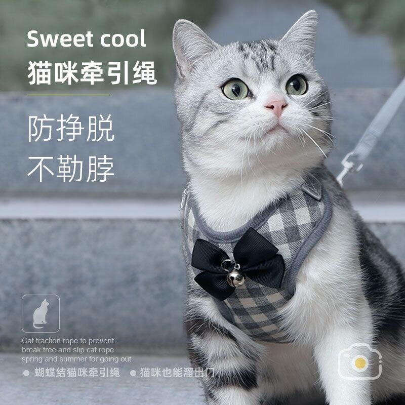 猫咪牵引绳遛猫绳子牵引猫外出专用防挣脱链子拴溜小猫缩背带
