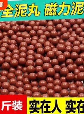弹弓泥丸安全泥丸子弹8mm9mm10mm弹工钢珠加重磁力泥球超硬陶丸