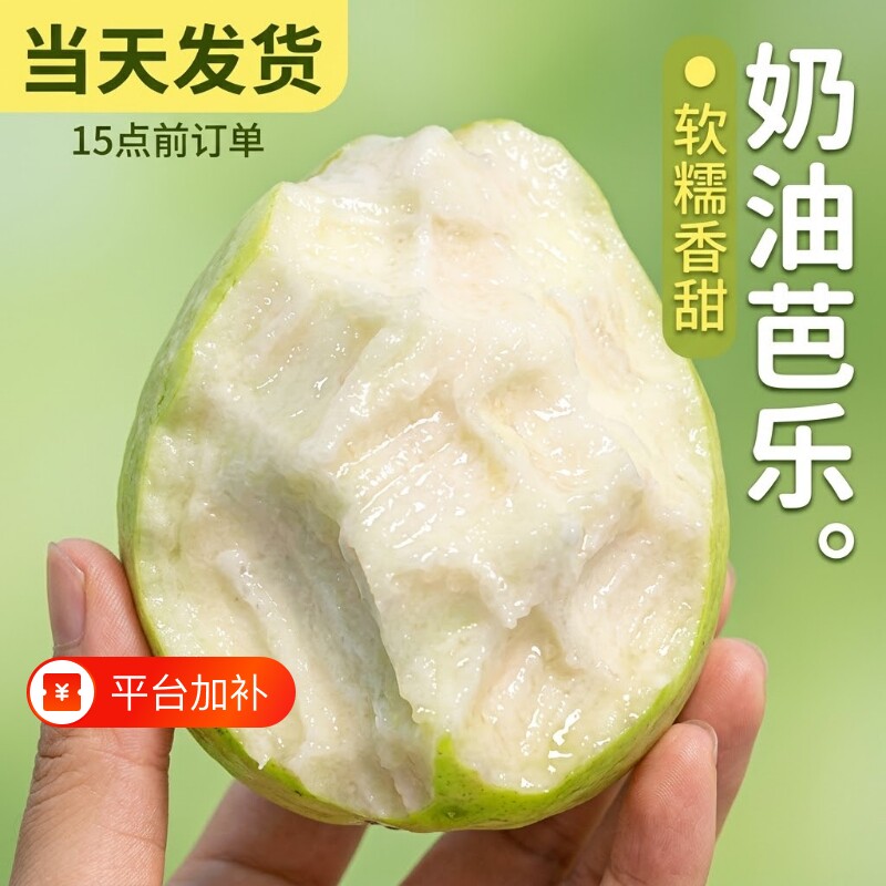 云南软心牛奶芭乐现摘水果软白奶油番石榴当季软糯新鲜巴乐果包邮