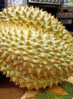 泰国进口金枕头榴莲鲜果树熟榴莲新鲜当季水果一整个带壳