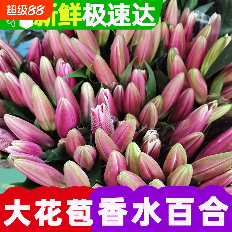 鲜花云南基地直发买10朵送10朵