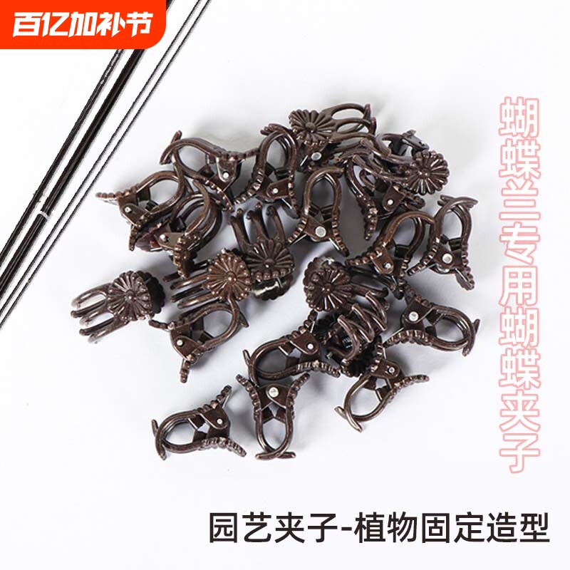 蝴蝶兰支架夹子兰花专用蔓藤造型夹子园艺防倒伏固定架子支撑杆
