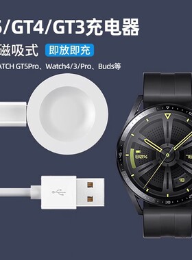 乾刊适用华为GT4/GT5/GT3充电器