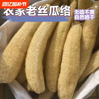搓背专用洗澡洗碗干丝瓜瓤去油好