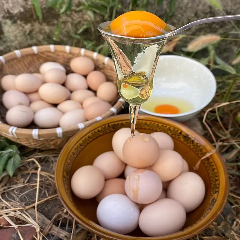 散养土鸡蛋鲜鸡蛋正宗农家笨鸡蛋谷物喂养柴鸡蛋新鲜现捡产地直发