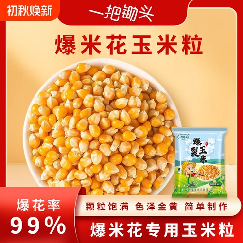 球形爆米花专用玉米粒新货5斤膨化电影院原材料爆裂苞米自己爆