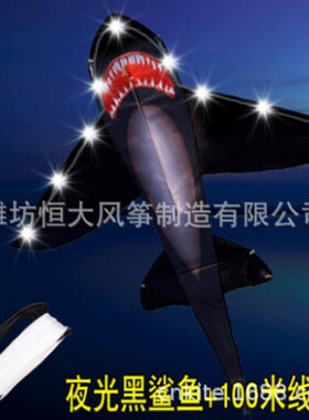 潍坊风筝 鲨鱼风筝 新款大尺寸风筝 儿童动物海洋风筝 kite