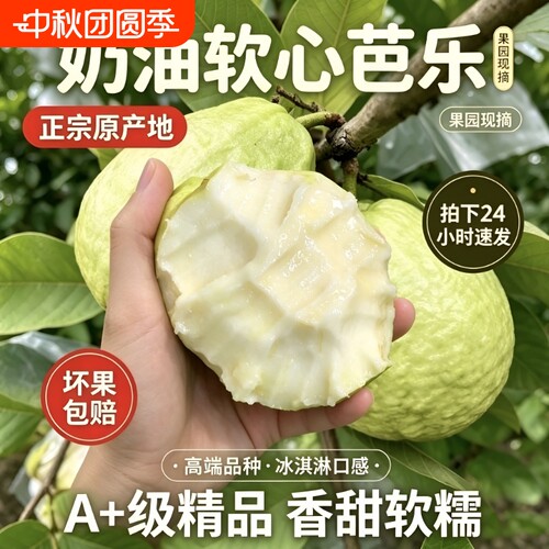 正宗白心番石榴软糯香甜